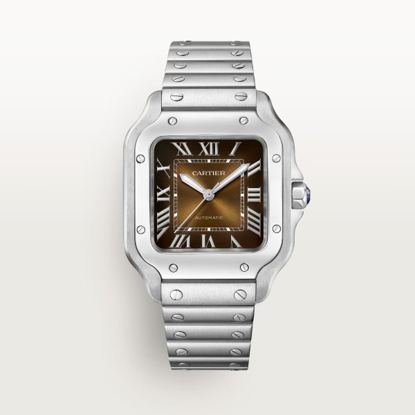 Cartier Santos De Cartier CRWSSA0065 new model 2024