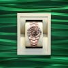 Rolex Sky-Dweller Everose Gold 336935-0002 Brand new