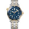 Omega Seamaster Diver 300M Brand New 210.20.42.20.03.001