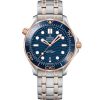 Omega Seamaster Diver 300M Brand New 210.20.42.20.03.002